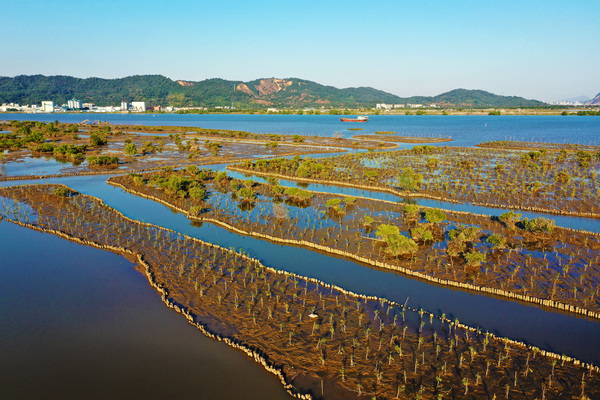 6,广东珠海海洋生态保护修复项目.jpg